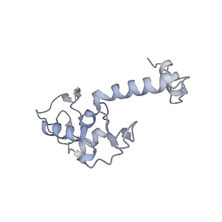 14861_7zpq_AS_v1-1
Structure of the RQT-bound 80S ribosome from S. cerevisiae (C1)