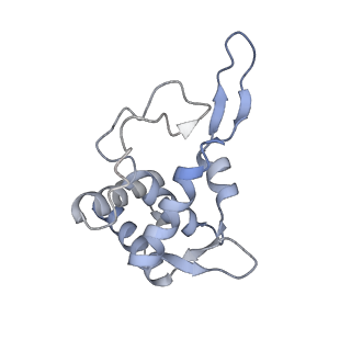 14861_7zpq_AT_v1-1
Structure of the RQT-bound 80S ribosome from S. cerevisiae (C1)