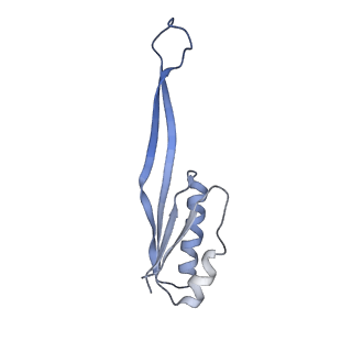 14861_7zpq_AU_v1-1
Structure of the RQT-bound 80S ribosome from S. cerevisiae (C1)