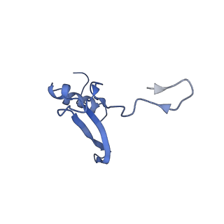 14861_7zpq_AV_v1-1
Structure of the RQT-bound 80S ribosome from S. cerevisiae (C1)