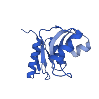 14861_7zpq_AW_v1-1
Structure of the RQT-bound 80S ribosome from S. cerevisiae (C1)