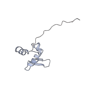 14861_7zpq_AZ_v1-1
Structure of the RQT-bound 80S ribosome from S. cerevisiae (C1)