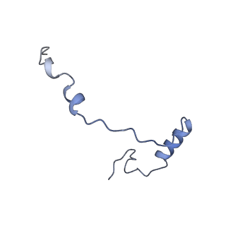 14861_7zpq_Ae_v1-1
Structure of the RQT-bound 80S ribosome from S. cerevisiae (C1)