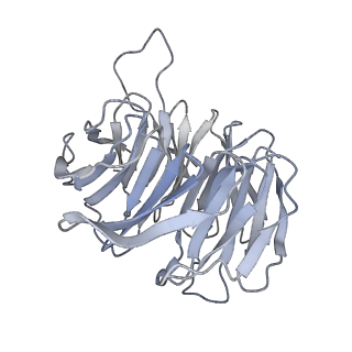14861_7zpq_Ag_v1-1
Structure of the RQT-bound 80S ribosome from S. cerevisiae (C1)