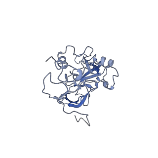 14861_7zpq_BA_v1-1
Structure of the RQT-bound 80S ribosome from S. cerevisiae (C1)