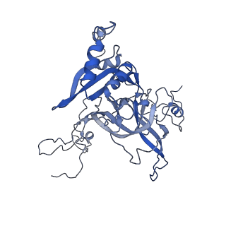 14861_7zpq_BB_v1-1
Structure of the RQT-bound 80S ribosome from S. cerevisiae (C1)