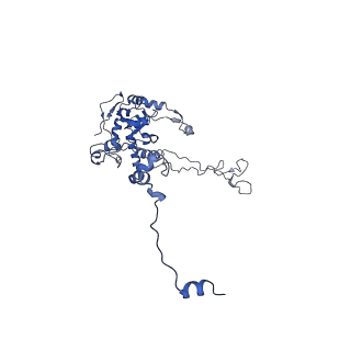 14861_7zpq_BC_v1-1
Structure of the RQT-bound 80S ribosome from S. cerevisiae (C1)