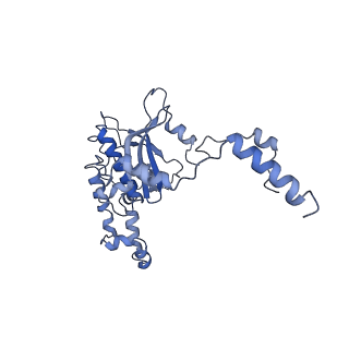 14861_7zpq_BD_v1-1
Structure of the RQT-bound 80S ribosome from S. cerevisiae (C1)