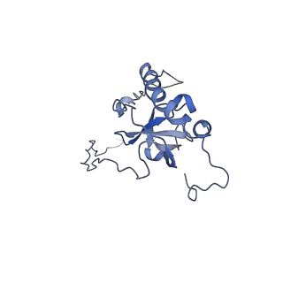 14861_7zpq_BE_v1-1
Structure of the RQT-bound 80S ribosome from S. cerevisiae (C1)