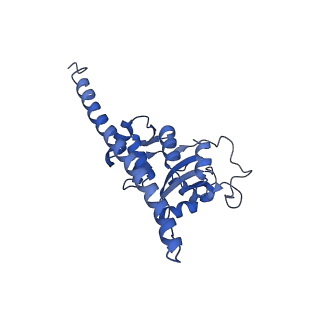 14861_7zpq_BF_v1-1
Structure of the RQT-bound 80S ribosome from S. cerevisiae (C1)