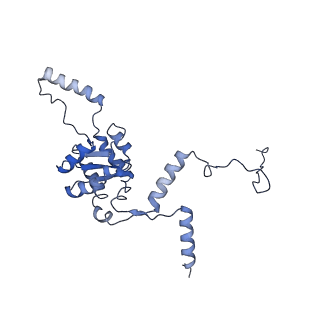 14861_7zpq_BG_v1-1
Structure of the RQT-bound 80S ribosome from S. cerevisiae (C1)