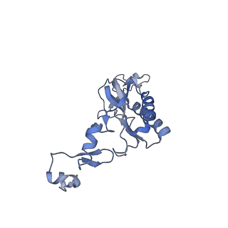 14861_7zpq_BI_v1-1
Structure of the RQT-bound 80S ribosome from S. cerevisiae (C1)