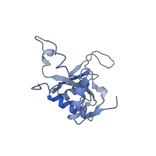 14861_7zpq_BJ_v1-1
Structure of the RQT-bound 80S ribosome from S. cerevisiae (C1)