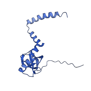 14861_7zpq_BL_v1-1
Structure of the RQT-bound 80S ribosome from S. cerevisiae (C1)