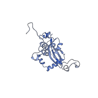 14861_7zpq_BM_v1-1
Structure of the RQT-bound 80S ribosome from S. cerevisiae (C1)
