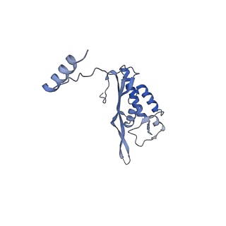 14861_7zpq_BO_v1-1
Structure of the RQT-bound 80S ribosome from S. cerevisiae (C1)