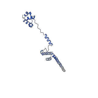14861_7zpq_BQ_v1-1
Structure of the RQT-bound 80S ribosome from S. cerevisiae (C1)