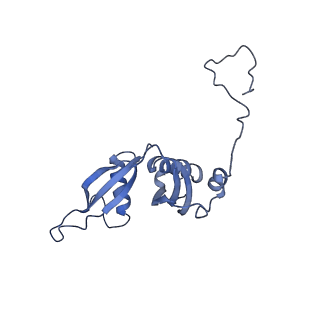 14861_7zpq_BR_v1-1
Structure of the RQT-bound 80S ribosome from S. cerevisiae (C1)