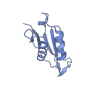 14861_7zpq_BT_v1-1
Structure of the RQT-bound 80S ribosome from S. cerevisiae (C1)
