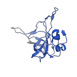 14861_7zpq_BU_v1-1
Structure of the RQT-bound 80S ribosome from S. cerevisiae (C1)