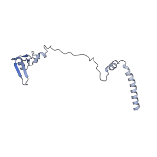 14861_7zpq_BV_v1-1
Structure of the RQT-bound 80S ribosome from S. cerevisiae (C1)