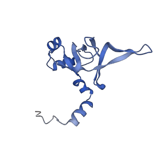 14861_7zpq_BX_v1-1
Structure of the RQT-bound 80S ribosome from S. cerevisiae (C1)