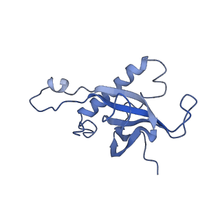 14861_7zpq_BY_v1-1
Structure of the RQT-bound 80S ribosome from S. cerevisiae (C1)
