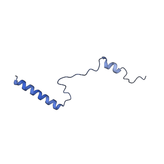 14861_7zpq_Ba_v1-1
Structure of the RQT-bound 80S ribosome from S. cerevisiae (C1)