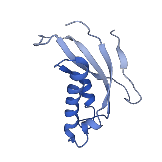 14861_7zpq_Bc_v1-1
Structure of the RQT-bound 80S ribosome from S. cerevisiae (C1)