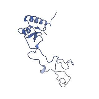 14861_7zpq_Bd_v1-1
Structure of the RQT-bound 80S ribosome from S. cerevisiae (C1)