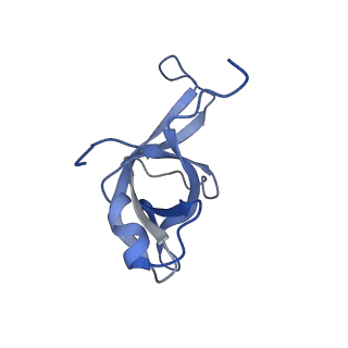 14861_7zpq_Be_v1-1
Structure of the RQT-bound 80S ribosome from S. cerevisiae (C1)
