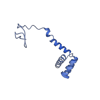 14861_7zpq_Bh_v1-1
Structure of the RQT-bound 80S ribosome from S. cerevisiae (C1)