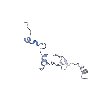 14861_7zpq_Bi_v1-1
Structure of the RQT-bound 80S ribosome from S. cerevisiae (C1)