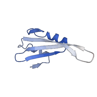 14861_7zpq_Bj_v1-1
Structure of the RQT-bound 80S ribosome from S. cerevisiae (C1)