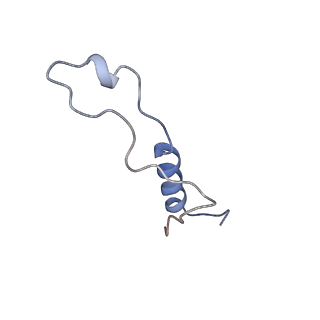 14861_7zpq_Bk_v1-1
Structure of the RQT-bound 80S ribosome from S. cerevisiae (C1)