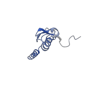 14861_7zpq_Bo_v1-1
Structure of the RQT-bound 80S ribosome from S. cerevisiae (C1)