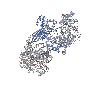 14861_7zpq_CA_v1-1
Structure of the RQT-bound 80S ribosome from S. cerevisiae (C1)
