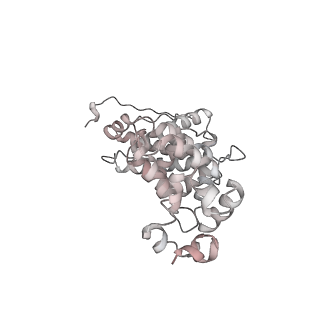 14861_7zpq_CB_v1-1
Structure of the RQT-bound 80S ribosome from S. cerevisiae (C1)