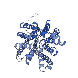 14862_7zpr_C_v2-0
KtrAB complex with N-terminal deletion of KtrB 1-19