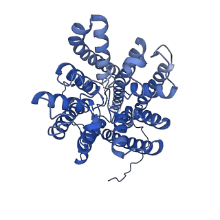 14862_7zpr_G_v2-0
KtrAB complex with N-terminal deletion of KtrB 1-19