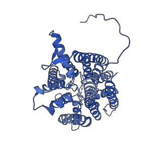 14862_7zpr_I_v2-0
KtrAB complex with N-terminal deletion of KtrB 1-19