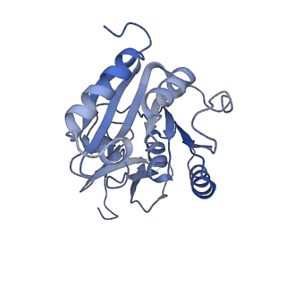 11357_6zqa_CA_v1-1
Cryo-EM structure of the 90S pre-ribosome from Saccharomyces cerevisiae, state A (Poly-Ala)