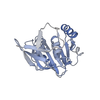 11357_6zqa_CB_v1-1
Cryo-EM structure of the 90S pre-ribosome from Saccharomyces cerevisiae, state A (Poly-Ala)