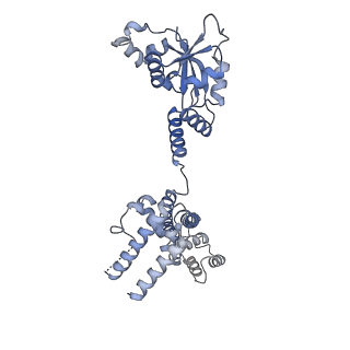 11357_6zqa_CD_v1-1
Cryo-EM structure of the 90S pre-ribosome from Saccharomyces cerevisiae, state A (Poly-Ala)