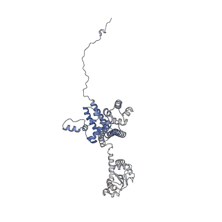 11357_6zqa_CE_v1-1
Cryo-EM structure of the 90S pre-ribosome from Saccharomyces cerevisiae, state A (Poly-Ala)