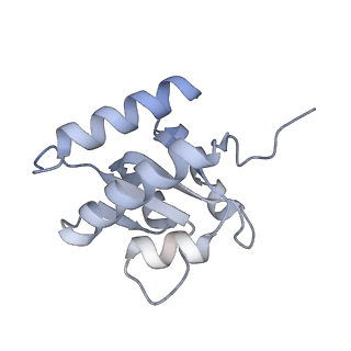 11357_6zqa_CG_v1-1
Cryo-EM structure of the 90S pre-ribosome from Saccharomyces cerevisiae, state A (Poly-Ala)