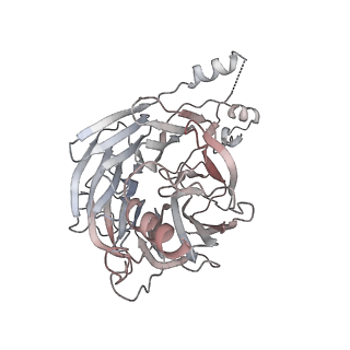 11357_6zqa_CH_v1-1
Cryo-EM structure of the 90S pre-ribosome from Saccharomyces cerevisiae, state A (Poly-Ala)