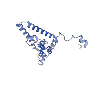 11357_6zqa_CI_v1-1
Cryo-EM structure of the 90S pre-ribosome from Saccharomyces cerevisiae, state A (Poly-Ala)