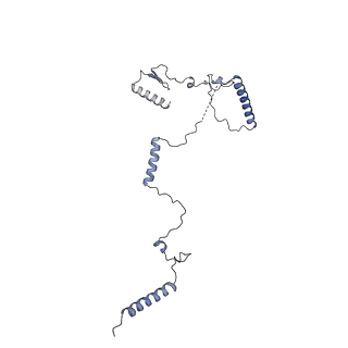 11357_6zqa_CK_v1-1
Cryo-EM structure of the 90S pre-ribosome from Saccharomyces cerevisiae, state A (Poly-Ala)