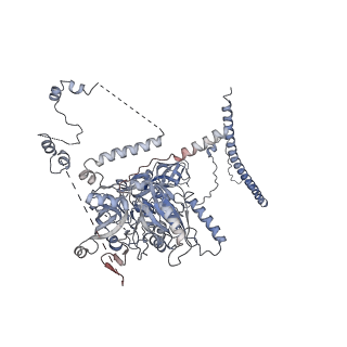 11357_6zqa_CL_v1-1
Cryo-EM structure of the 90S pre-ribosome from Saccharomyces cerevisiae, state A (Poly-Ala)